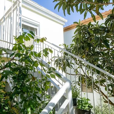 Apartman Vlado *