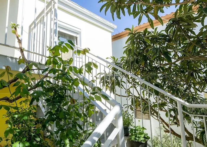 Apartman Vlado *
