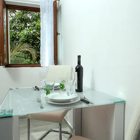 Apartment Vlado