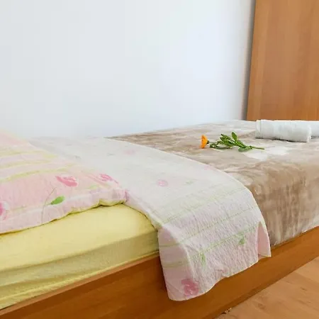 Apartment Vlado Savar